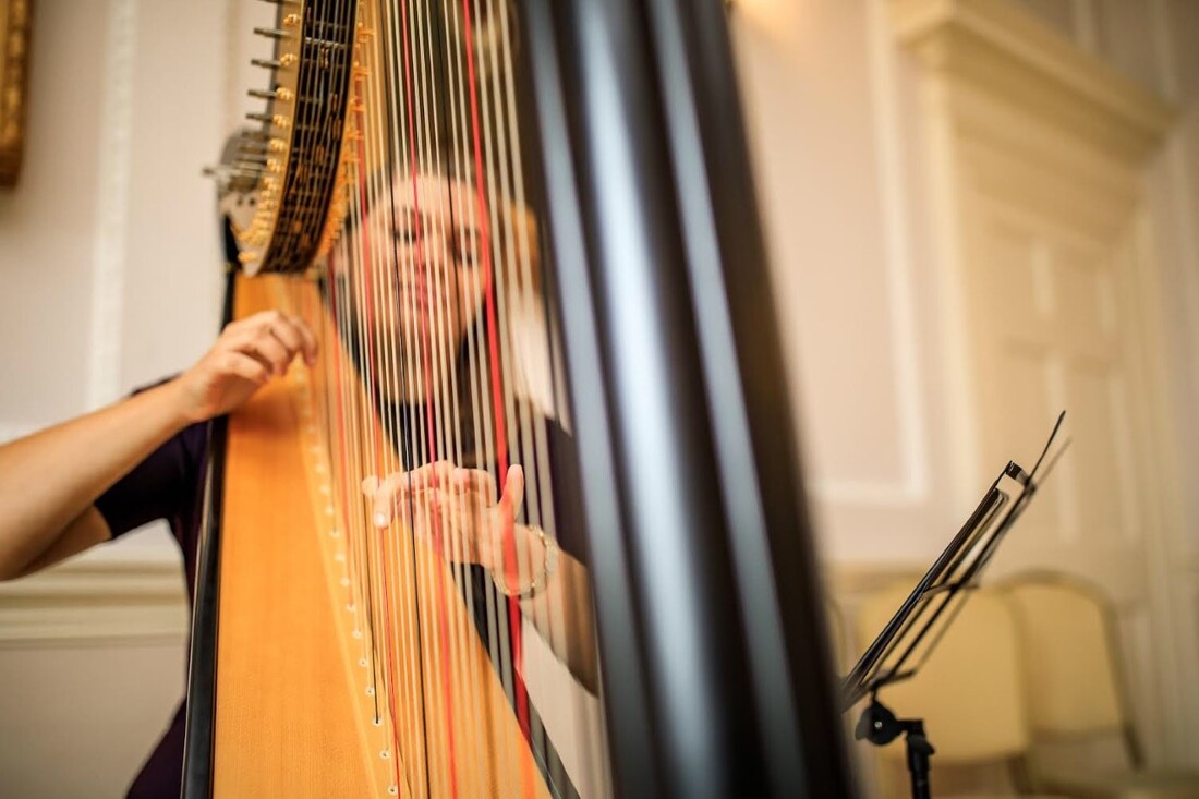 harpist performing at drinks reception at brooksby hall